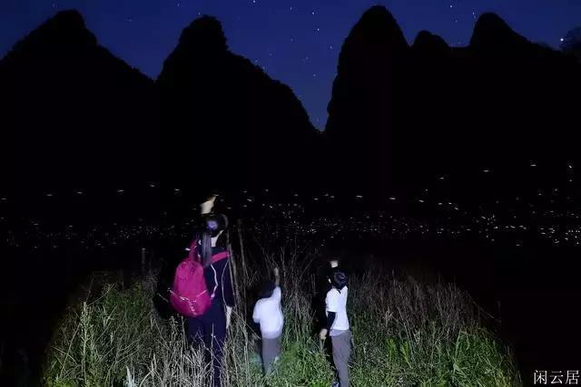 起重机卡车找不同