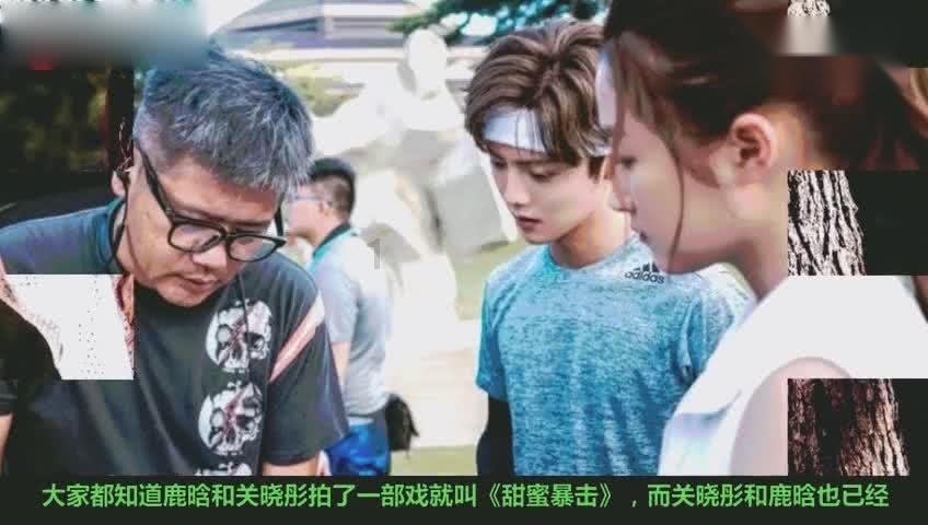 猪场怼怼乐